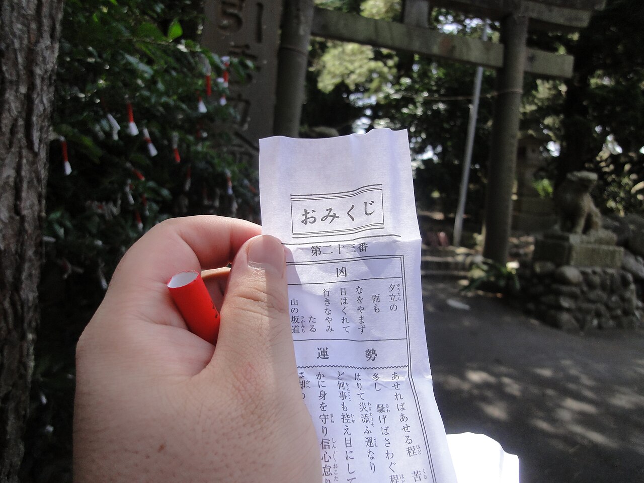 引いたおみくじの例。吉凶の下に和歌、その下に運勢の本文が続く（イメージ）